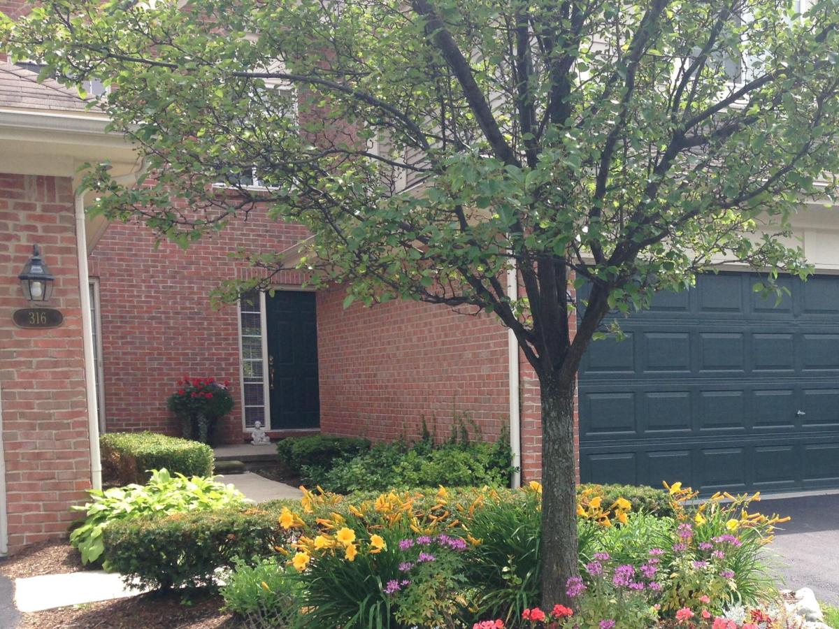 MLS #81026045818 image #0