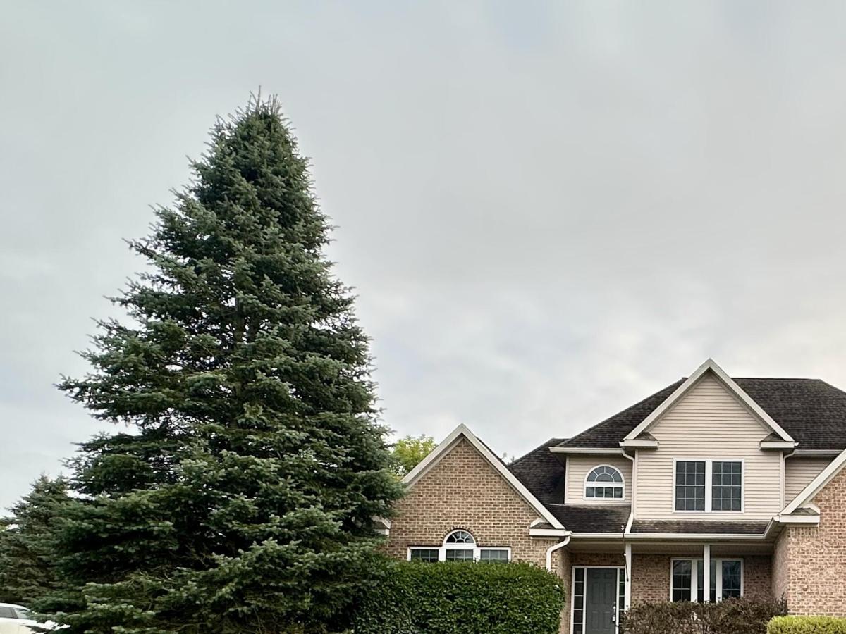 MLS #81026049690 image #0