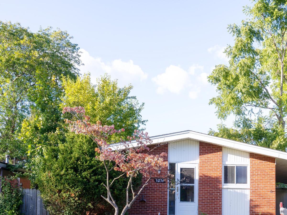 MLS #81026051882 image #0