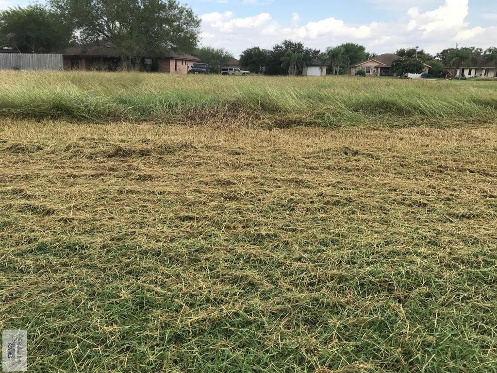 MLS #29737254 image #0