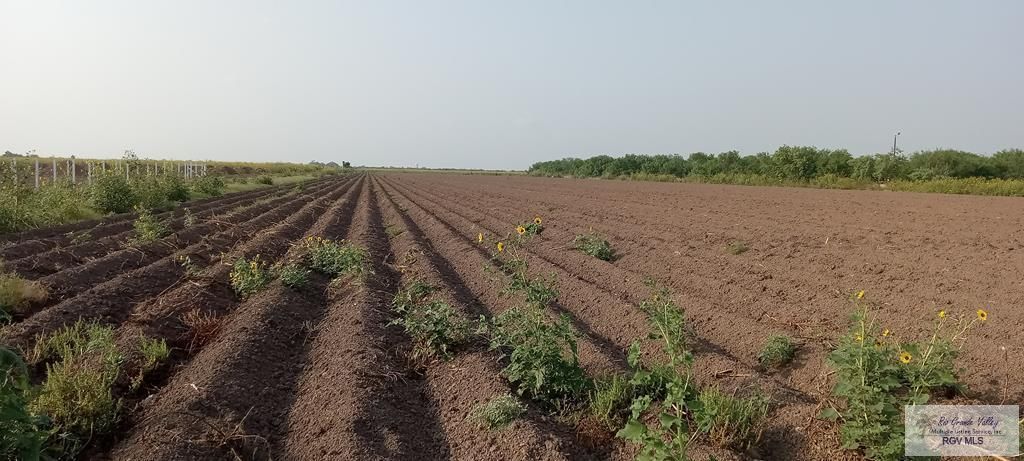 MLS #29752121 image #7