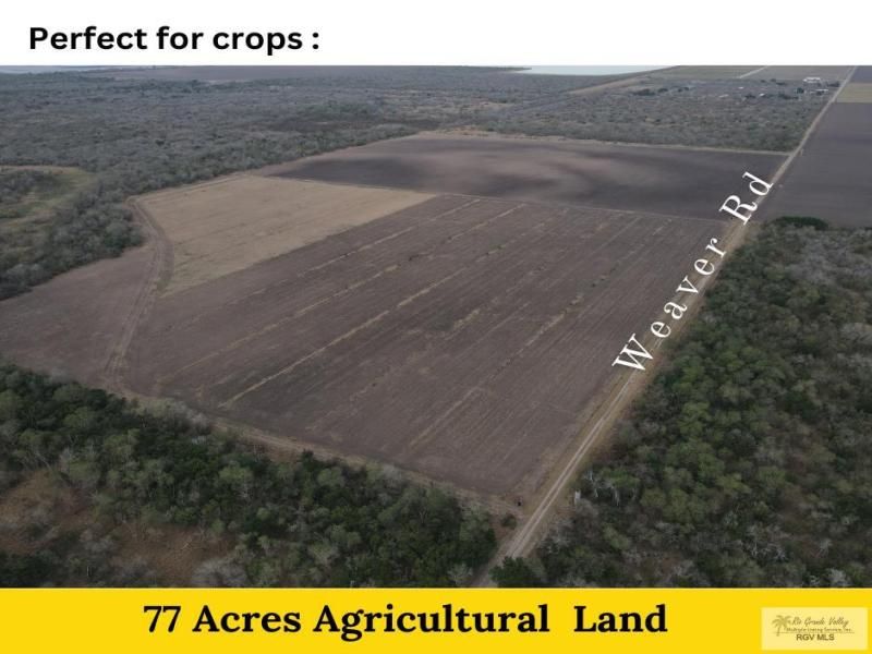 MLS #29762436 image #7