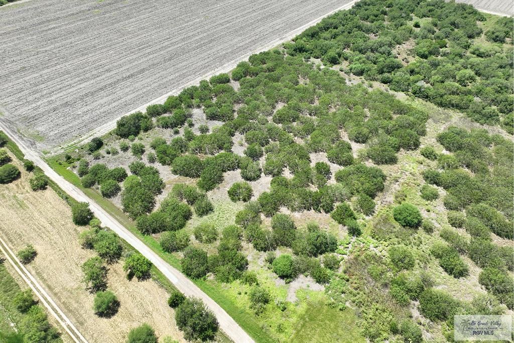 MLS #29767102 image #0