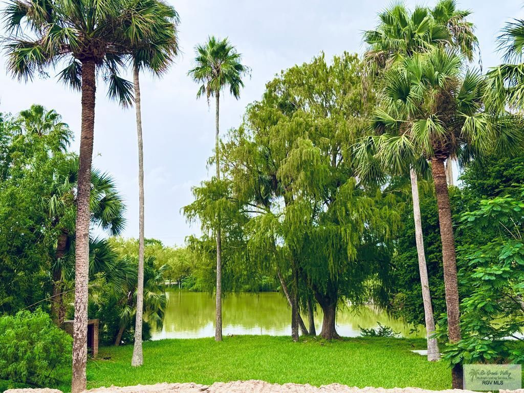 MLS #29768628 image #0