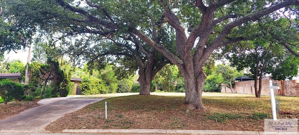 MLS #29769363 image #7