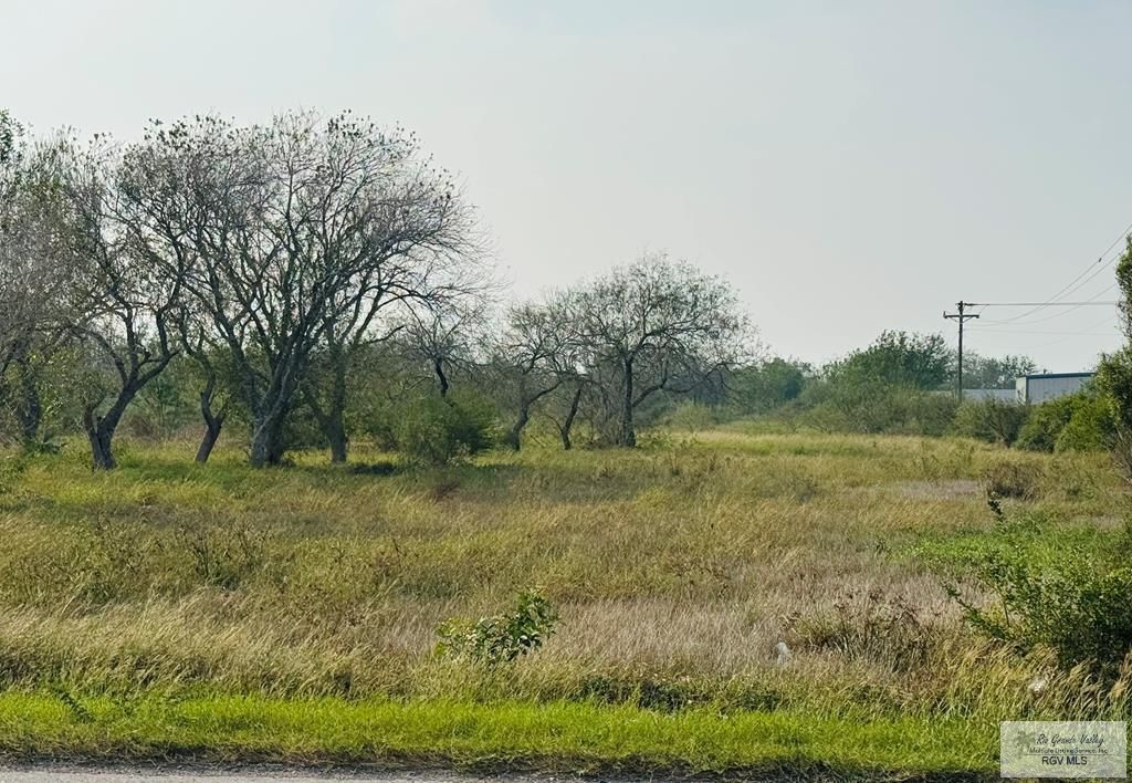 MLS #29771126 image #0