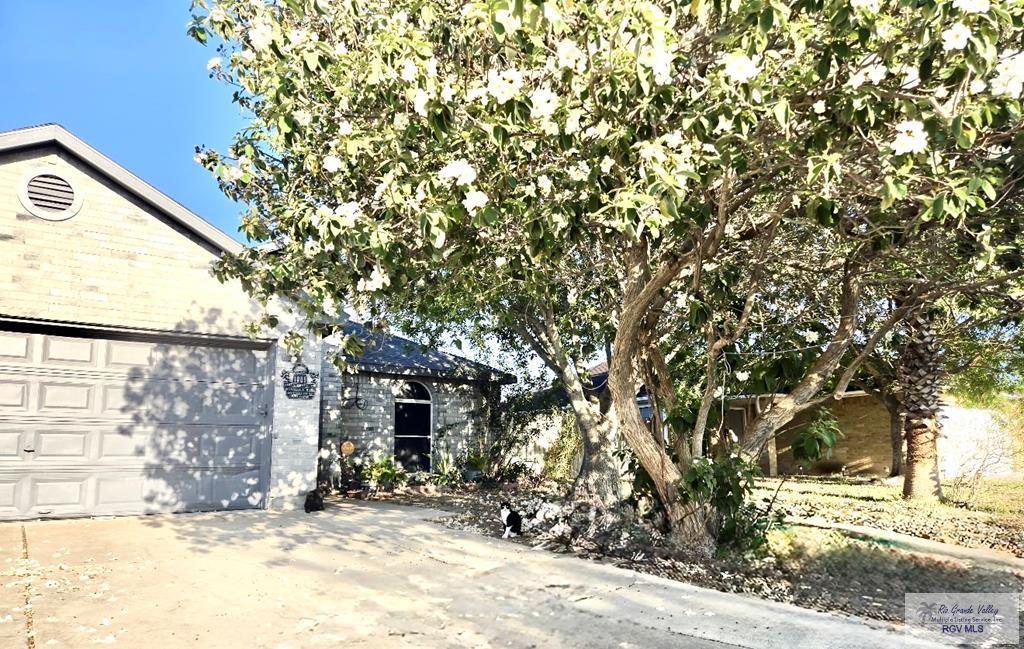 MLS #29772602 image #0