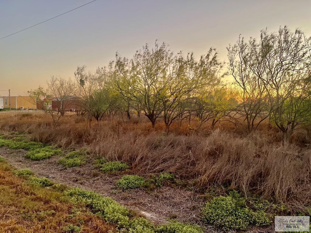 MLS #29775282 image #0