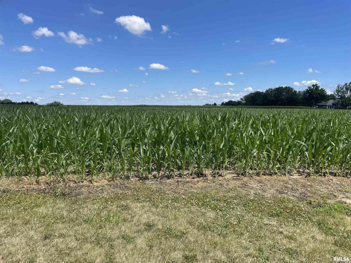 MLS #RMACA1030097 image #0