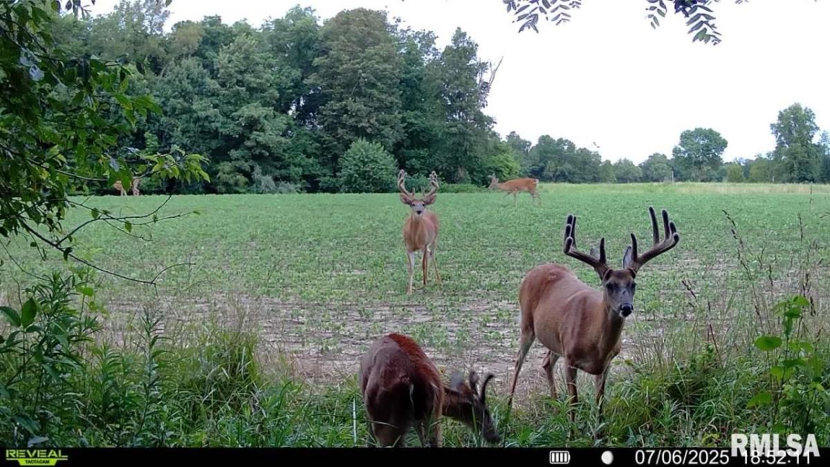 MLS #RMAEB456362 image #0