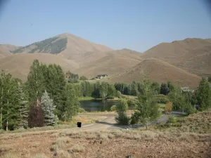broker reciprocity