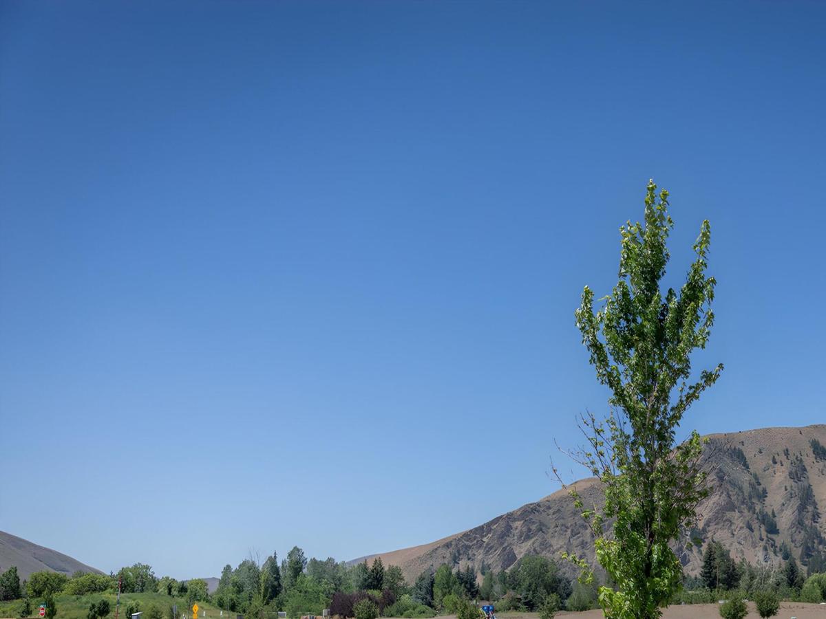 MLS #26-334744 image #0