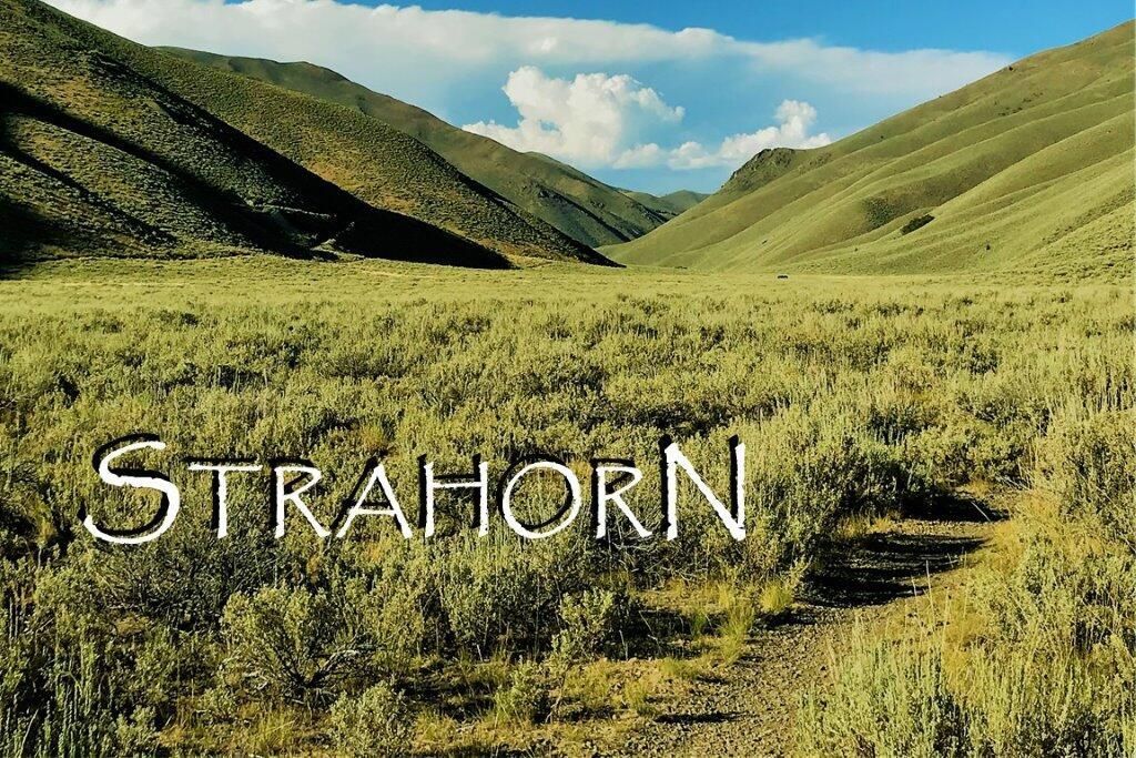 MLS #332810 image #0