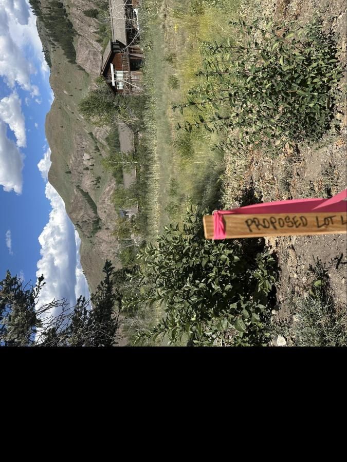 MLS #333753 image #0