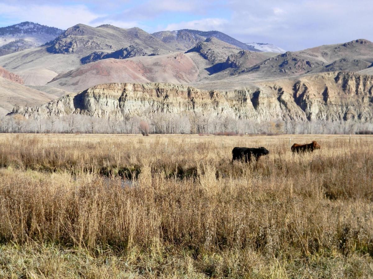 MLS #333893 image #0