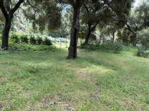 MLS #25000889 image #0