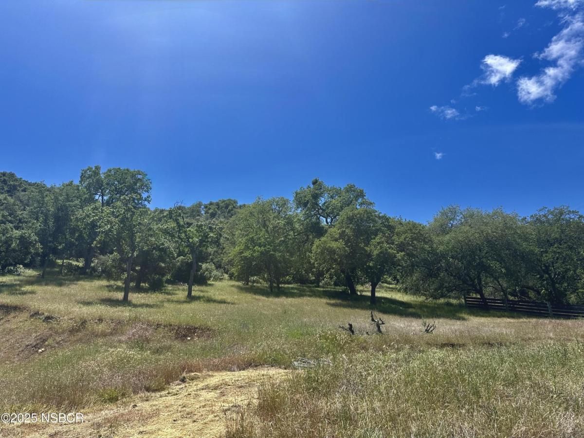 MLS #25000978 image #0