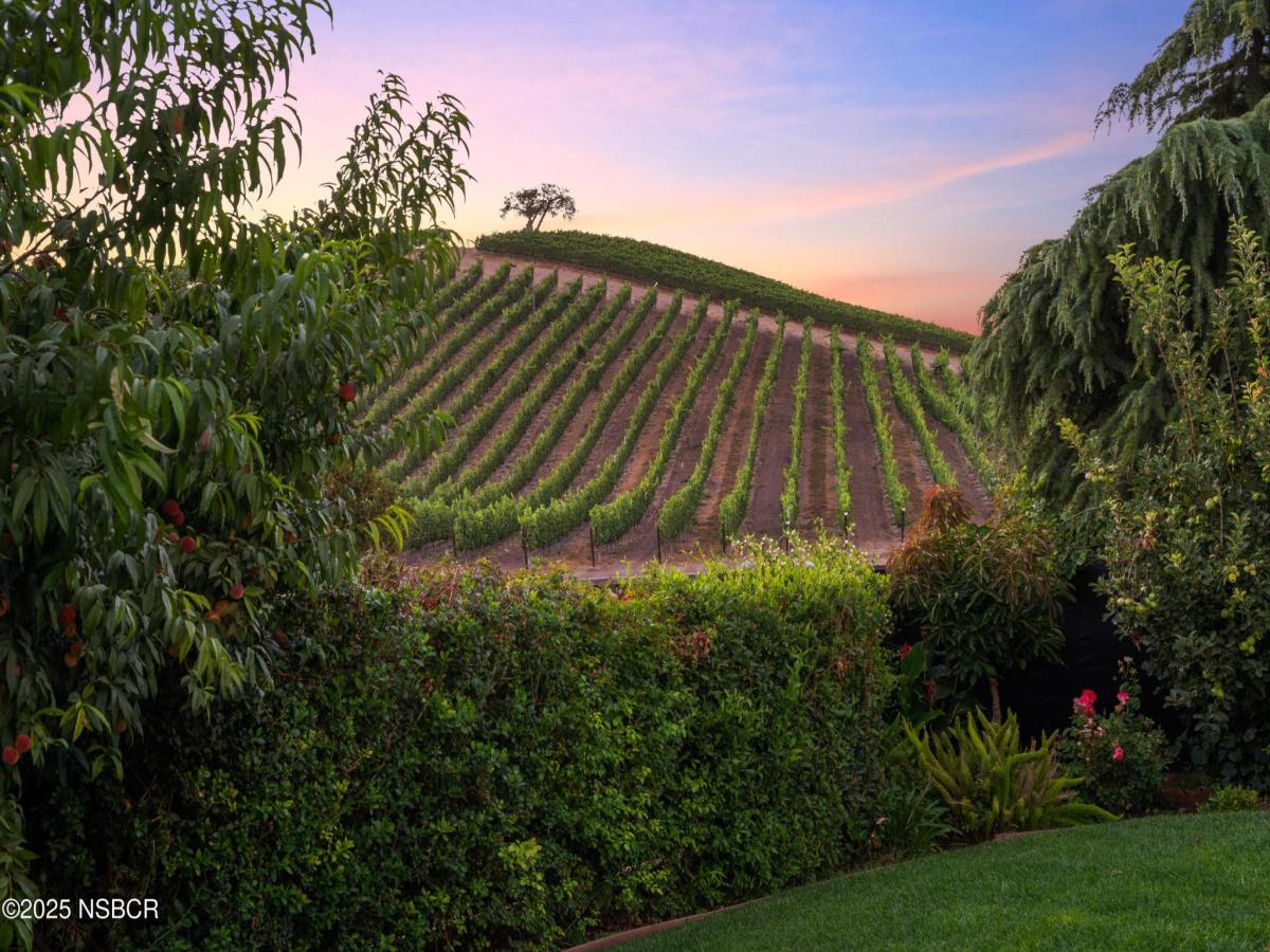 MLS #25001473 image #0