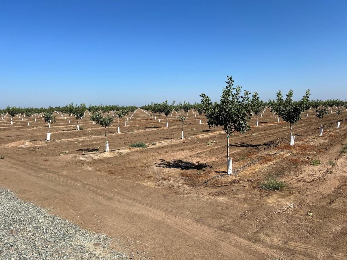 MLS #230549 image #0