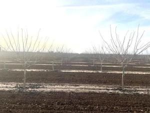 MLS #230549 image #0