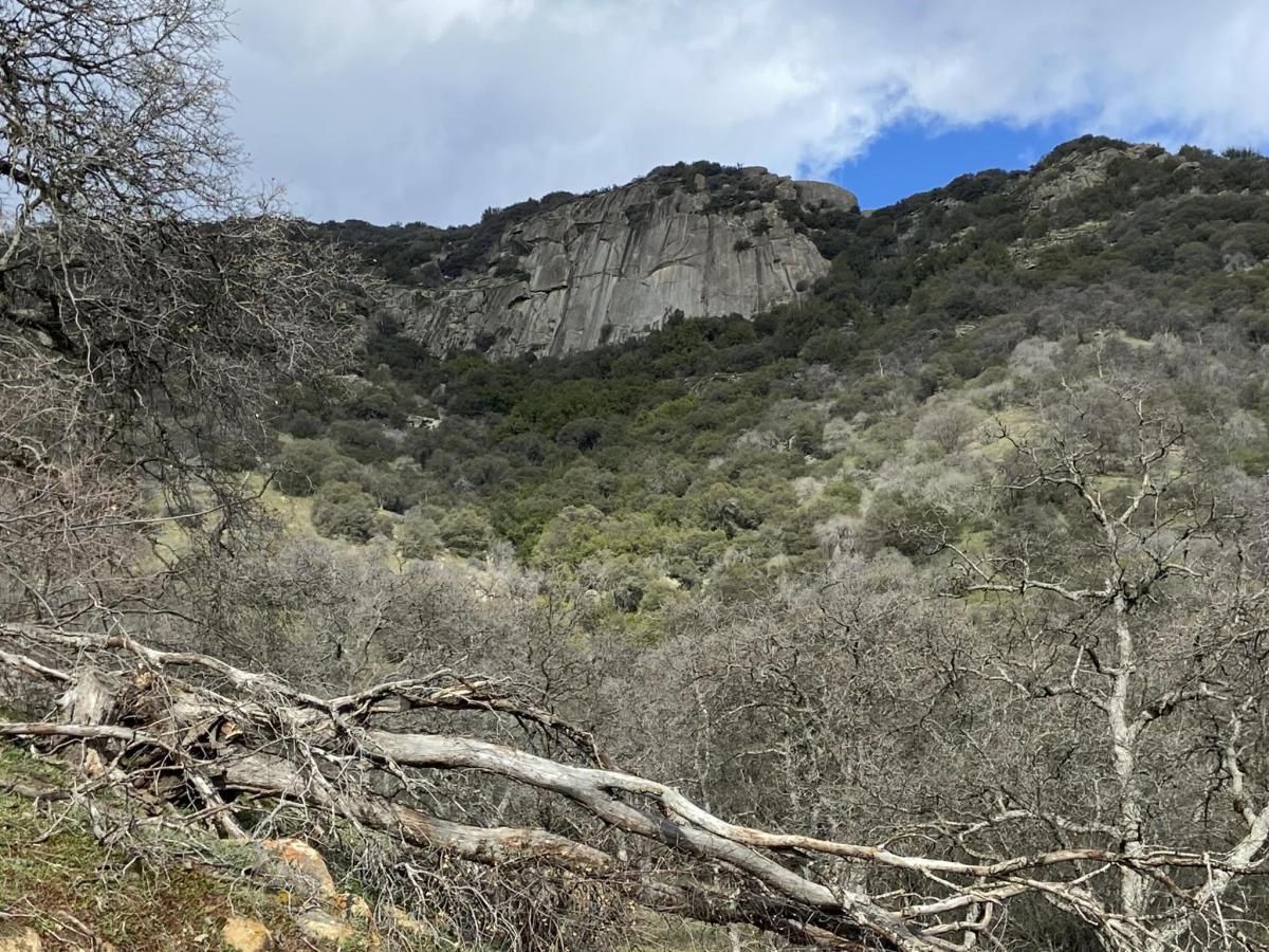 MLS #233591 image #0