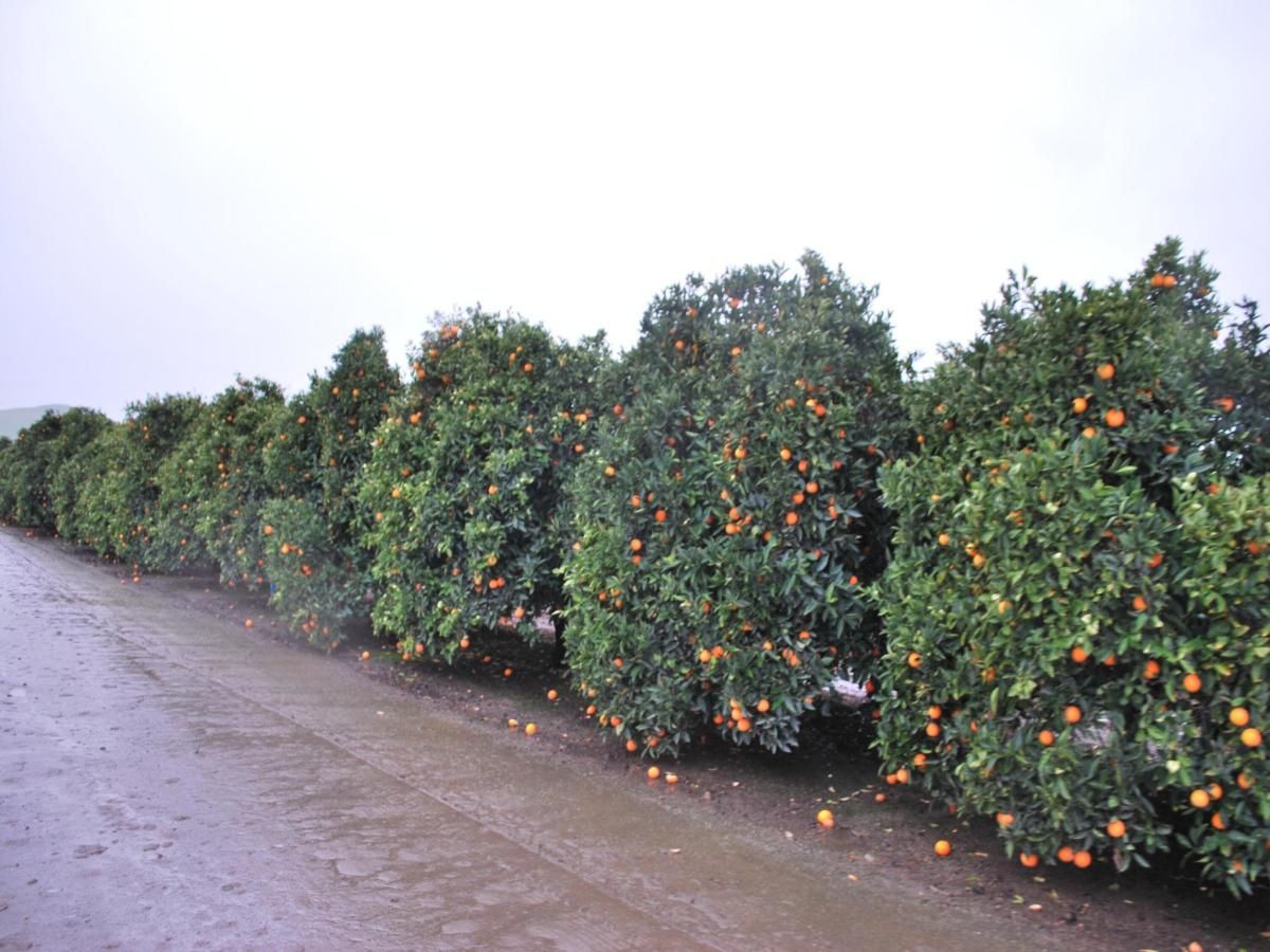 MLS #234820 image #0