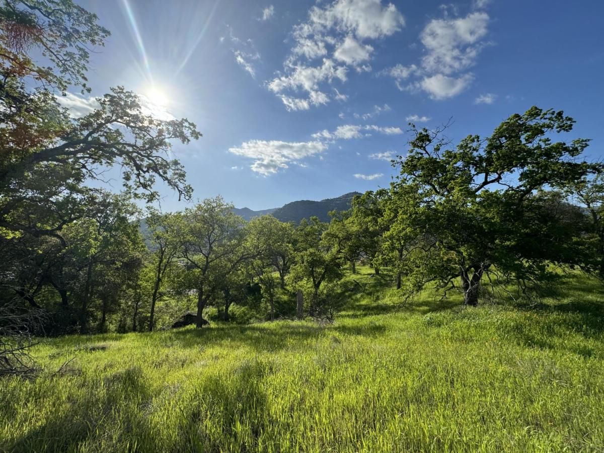 MLS #237228 image #0