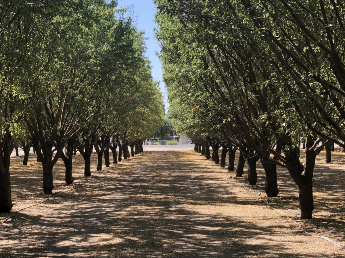 MLS #237544 image #0