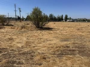 MLS #238039 image #0