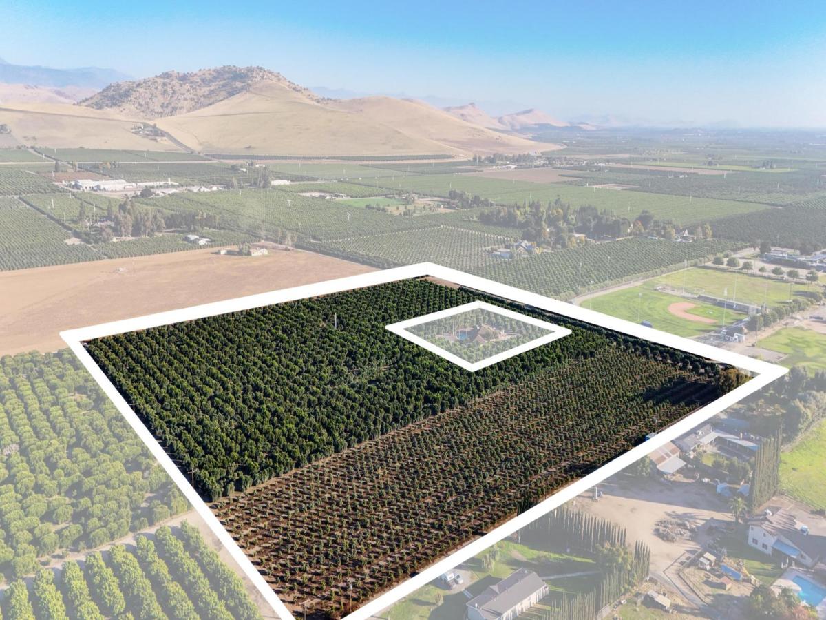 MLS #238182 image #0