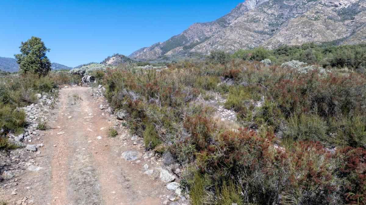 MLS #238203 image #0