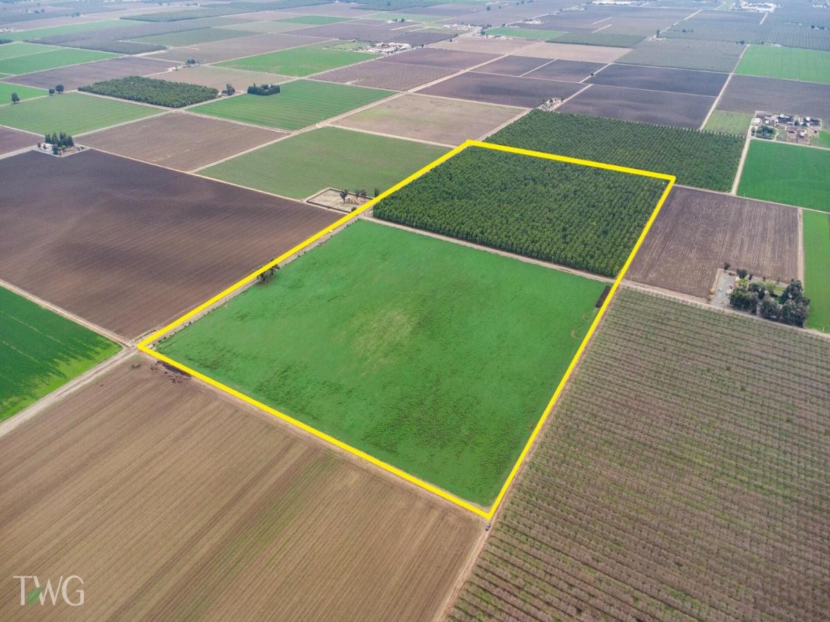 MLS #238472 image #0