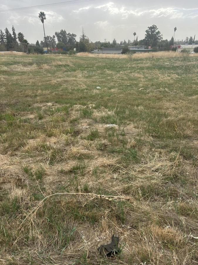 MLS #238847 image #0