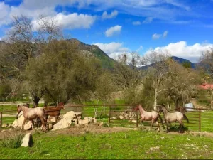 broker reciprocity