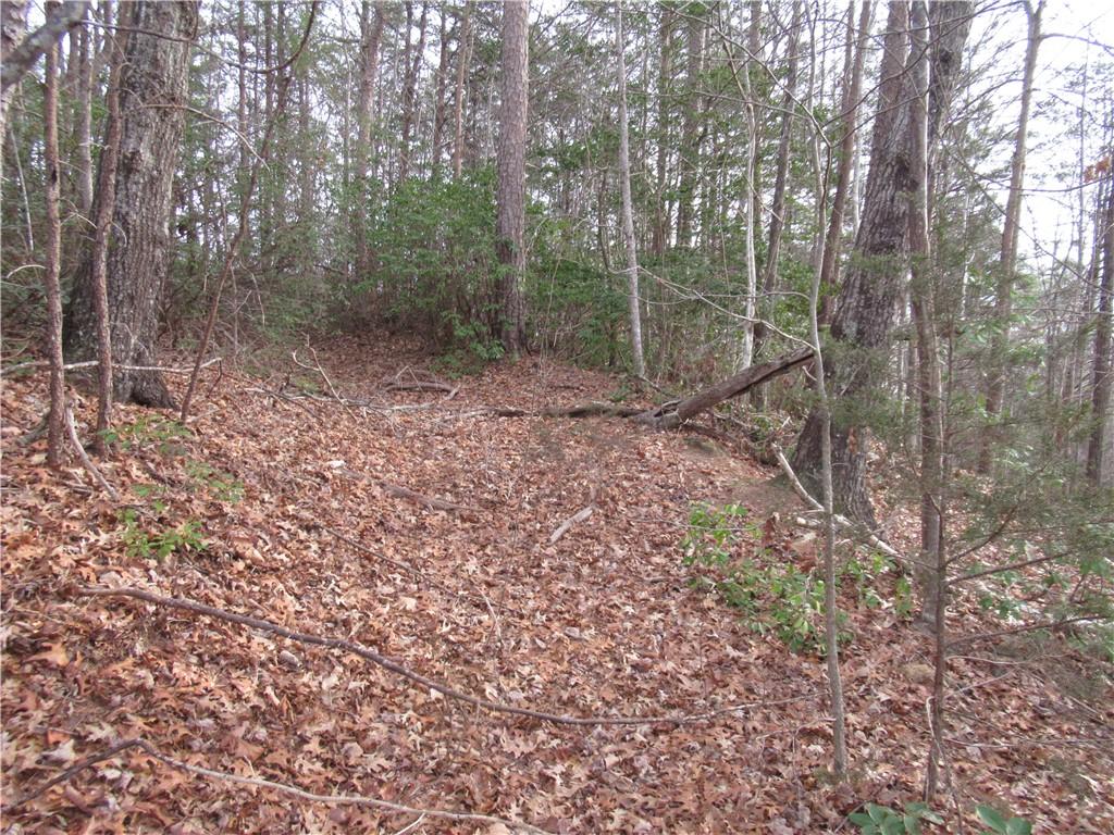 MLS #20296351 image #0