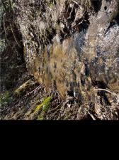 MLS #20302705 image #0
