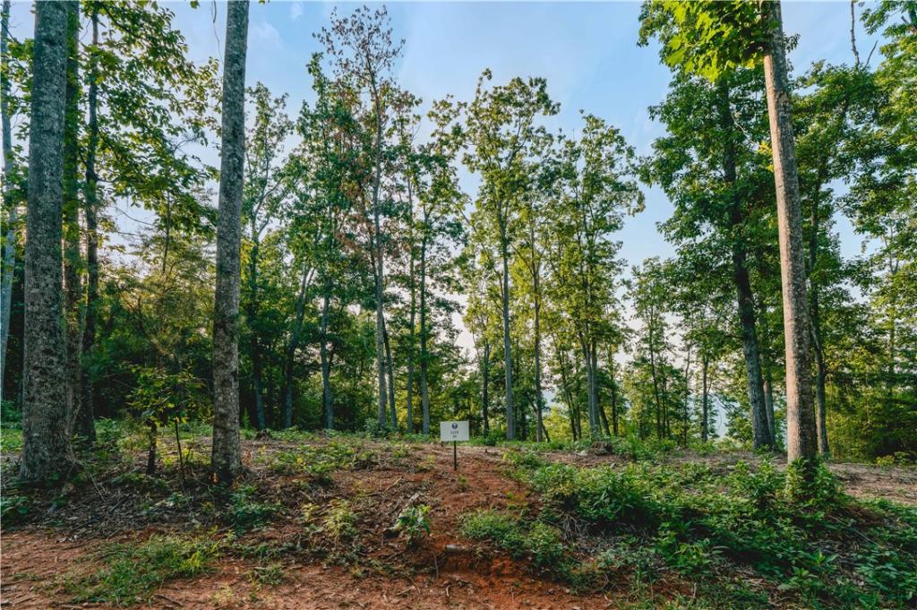 MLS #20306106 image #0