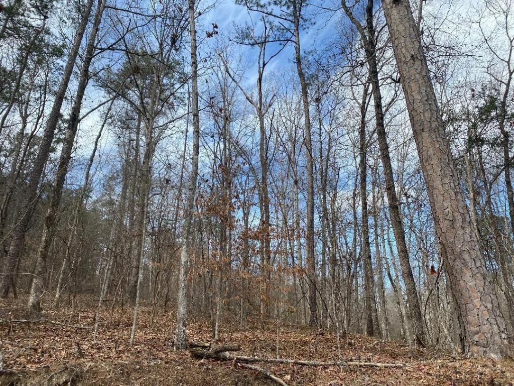 MLS #23-629 image #0