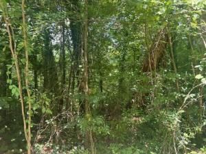 MLS #24-1634 image #0