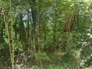 MLS #24-1634 image #0