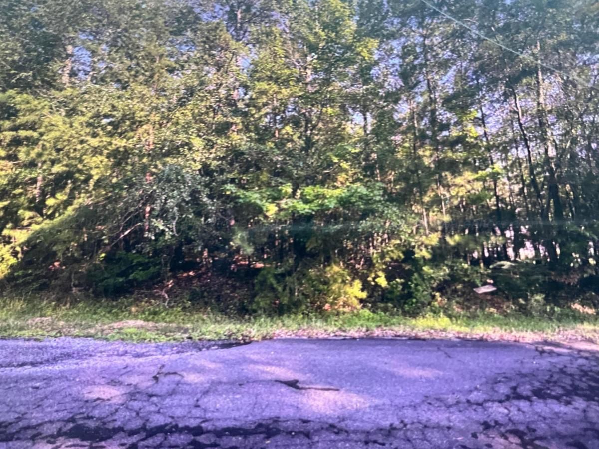 MLS #25-1434 image #0