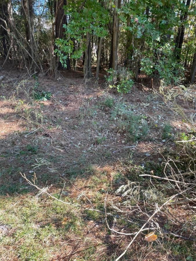 MLS #25-1843 image #0