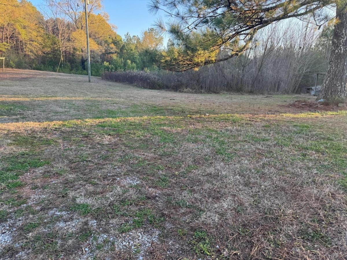 MLS #25-2392 image #0