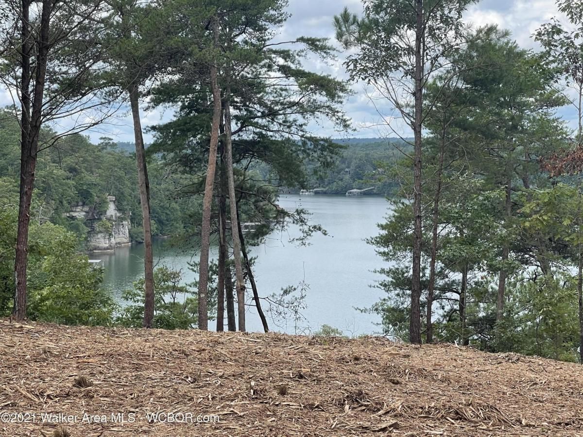 MLS #25-402 image #0