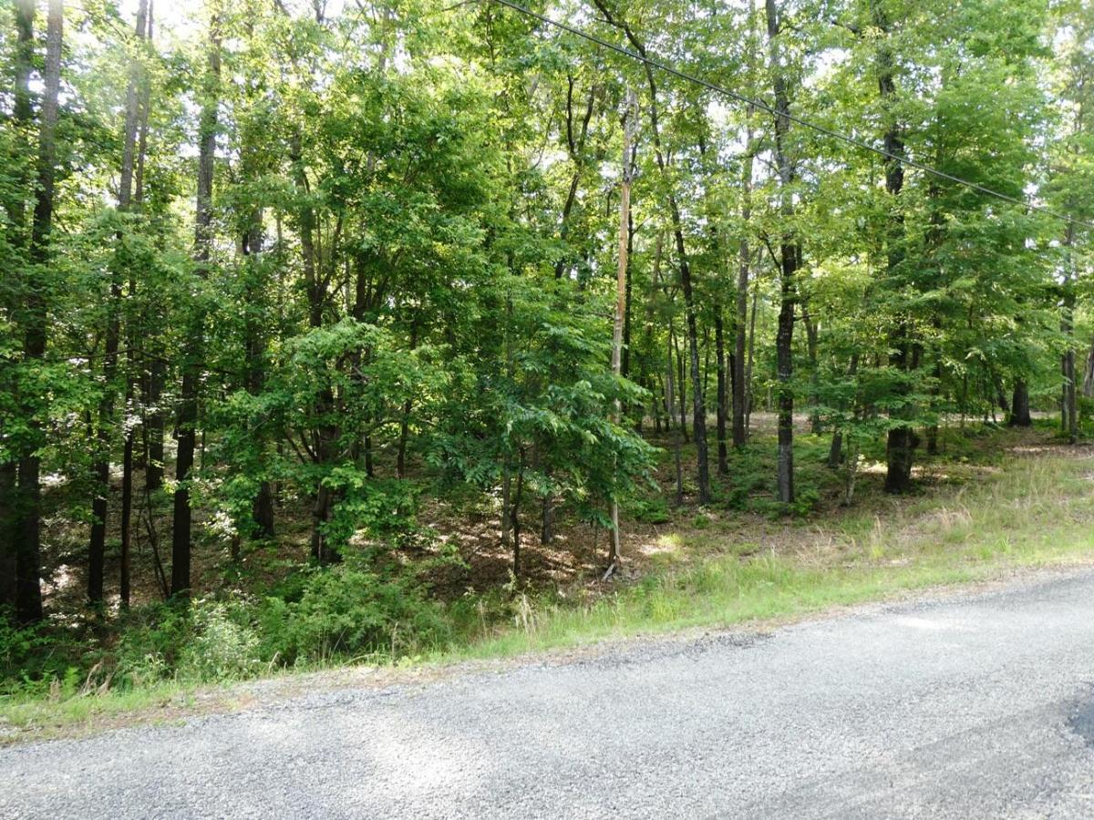 MLS #26-1150 image #0