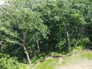 MLS #SCW2003828 image #0