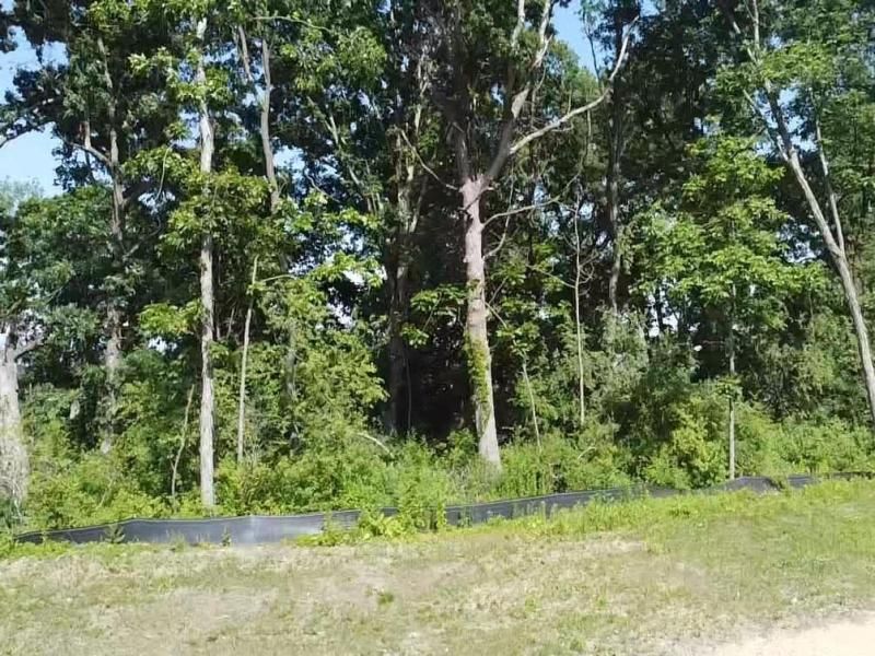 MLS #SCW2003830 image #0